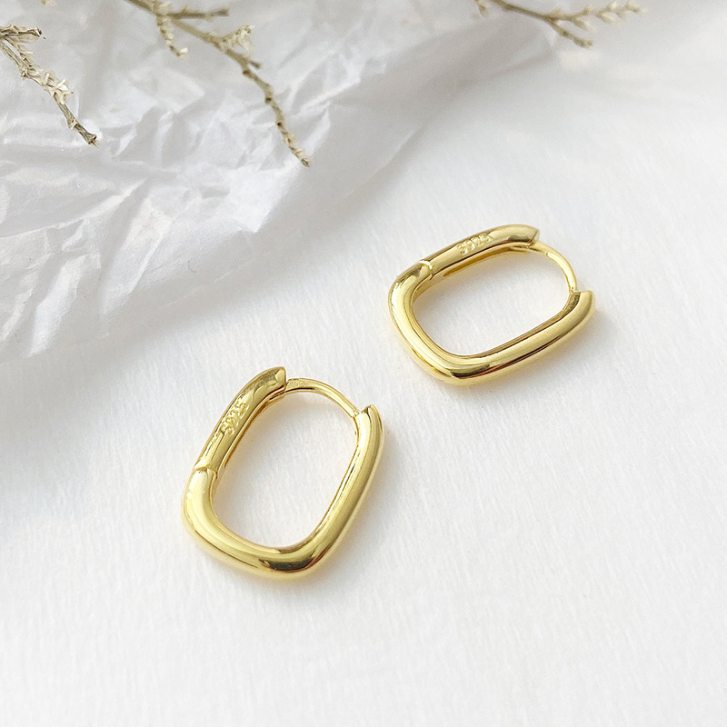 Frosty wind oval brass earrings