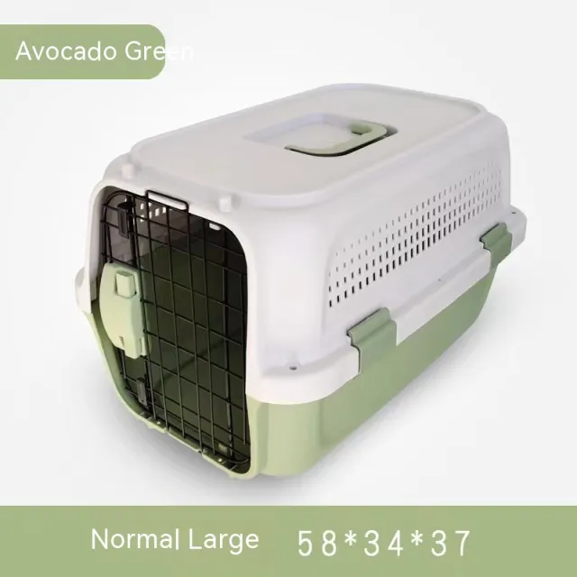 Outing Pet Cat Air Consignment Suitcase Green - Shop at LoveMi