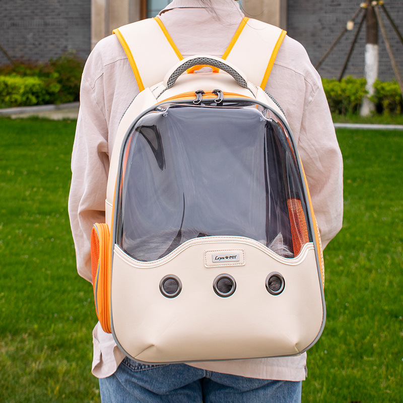 Transparent shoulder backpack