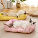 Pink Cat