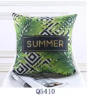 Q5410 Green