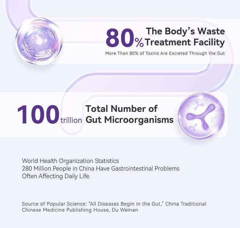 4th-Generation Luminous Gut Probiotics 10 Billion CFU Effectively Improves Gastrointestinal Function