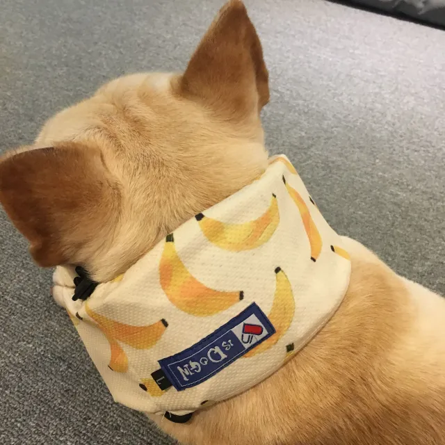 Summer Pet Dog Cool Down Ice Scarf To Relieve The Heat Banana Yellow - Shop at LoveMi