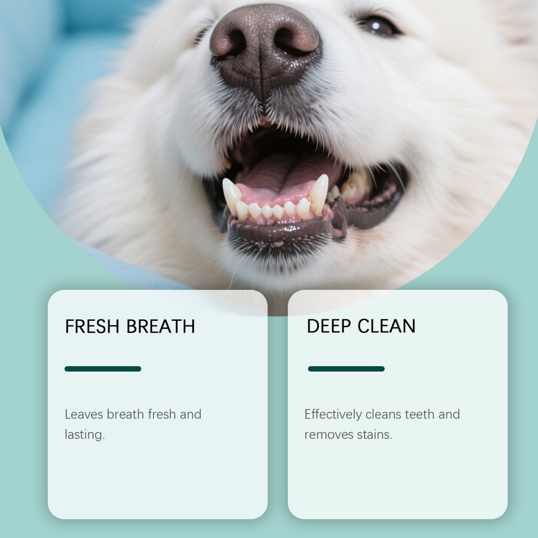 Dog Teeth Cleaning Powder 9