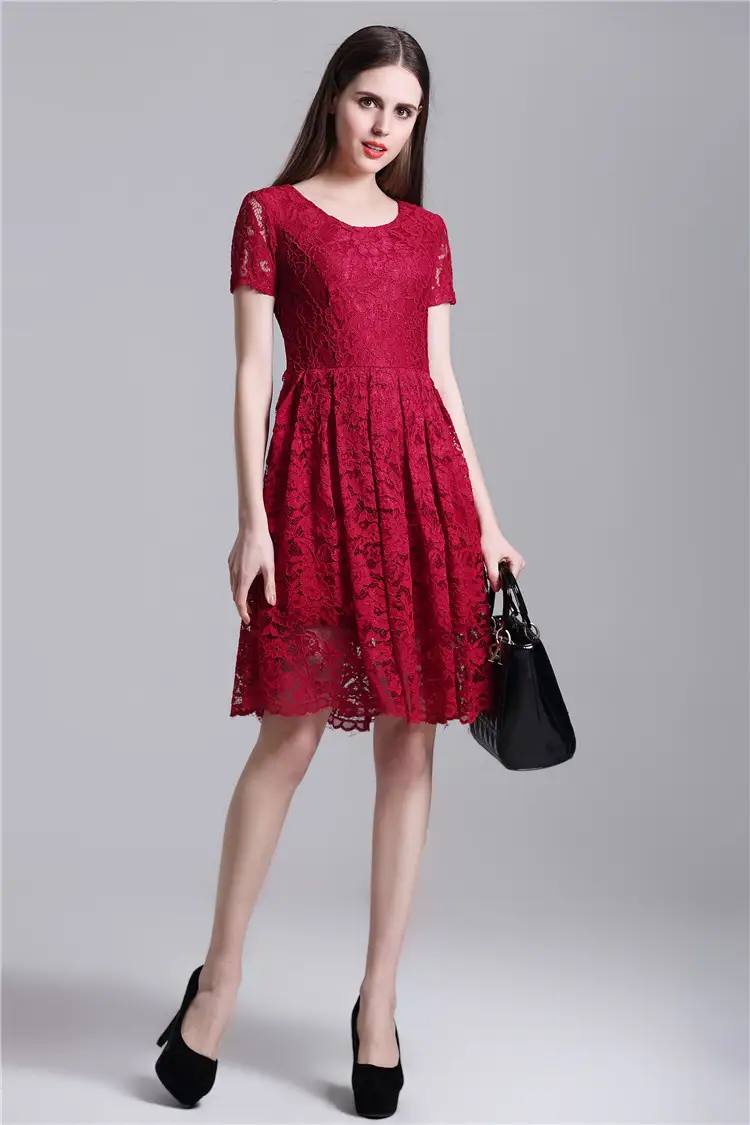 Round Neck Short Sleeves Pleated Lace Dress