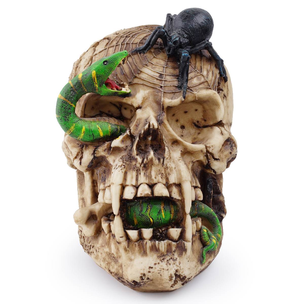 Resin skull human animal skull snake ornament halloween