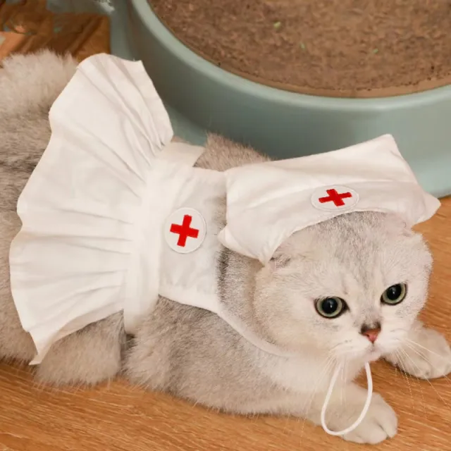 Fashionable And Personalized Cat Dress Set White - Shop at LoveMi