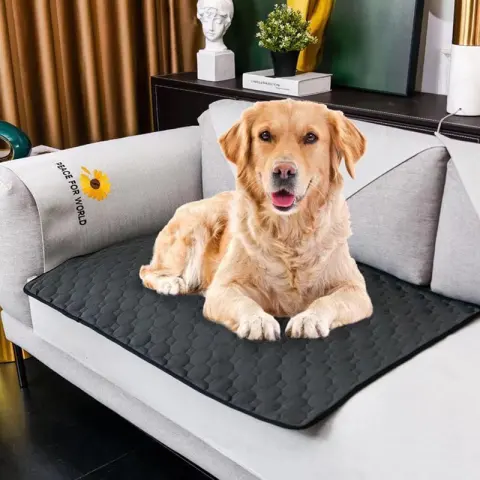 Waterproof Dog Mats Water-absorbing Dog Diaper Changing Mat Training