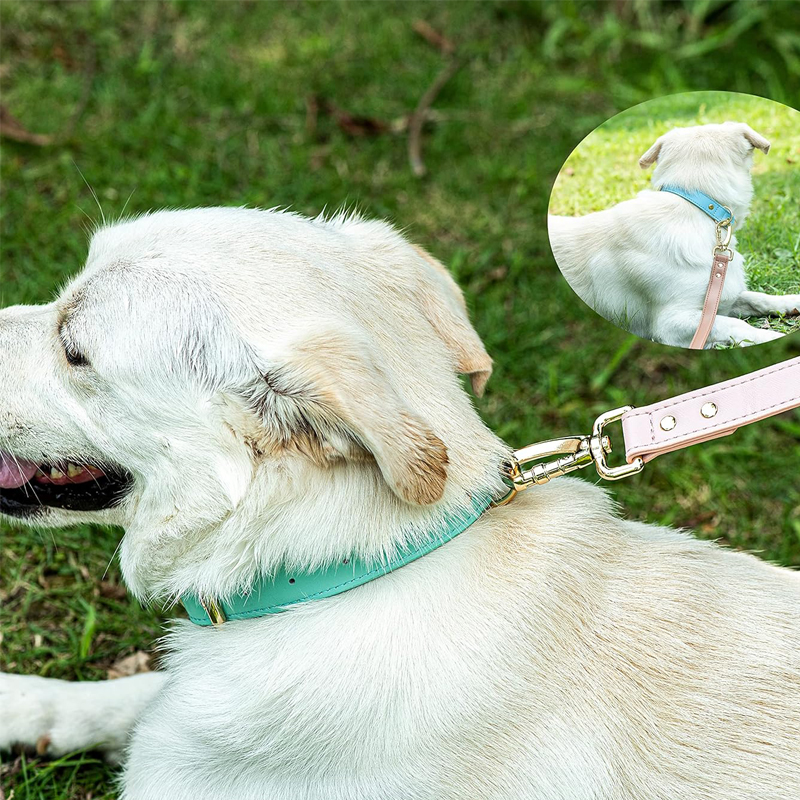 S M L Dog Collar, Leather Dog Collar, For Small, Medium, And Large Dogs, Basic Collar, Adjustable Pet Collar