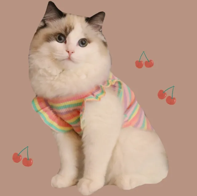 Summer Dog Cat Costume Small Breathable Cotton Pink - Shop at LoveMi