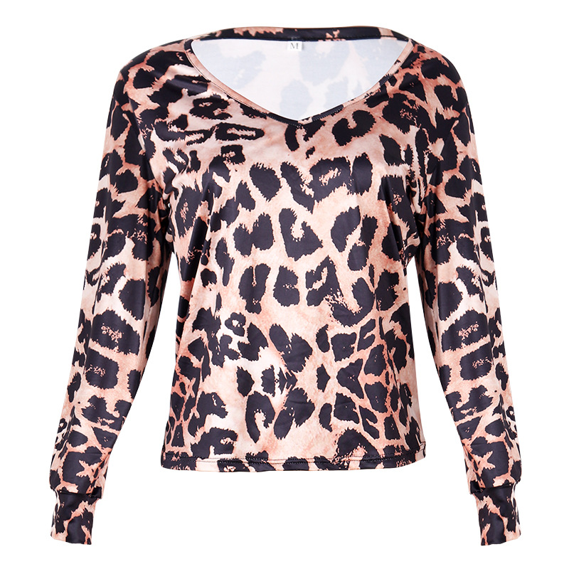 Title 6, Leopard Print Long-Sleeved V-Neck Sexy Shirt