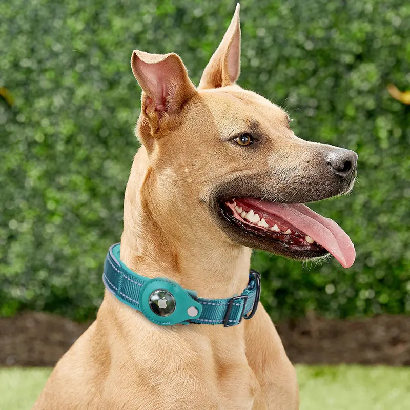 Convenient Tracker Pet Special Collar Cover Pet Loss Prevention