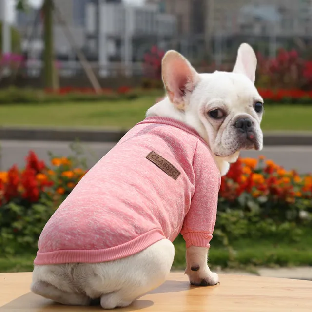 Fall Winter New Style Sweater Two legged Clothes Dog Supplies Pink - Shop at LoveMi