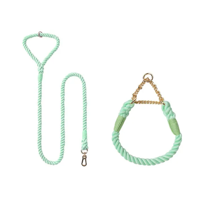 Woven Cotton Pet Dog Leash Collar Set Mint Green Gold - Shop at LoveMi