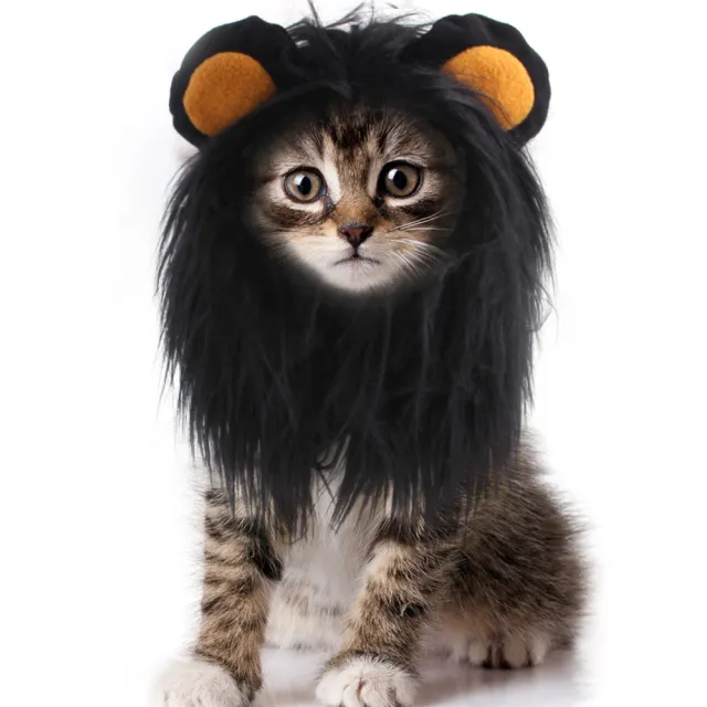 Pet Cat Headgear Wig Hat Pet Cat Funny Dress Up, Puppy Cat Cat Clothing Lion Headgear Black - Shop at LoveMi