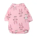 Pink Bunny
