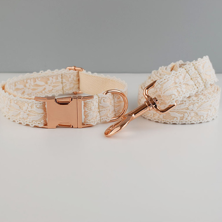 Small Pet Double Sticky Fly Bowl