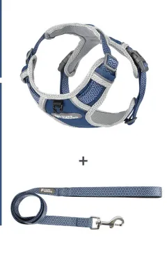 The Dog's Chest Strap Is Out For Walking The Dog - Blue Chest Back Suit - View 1