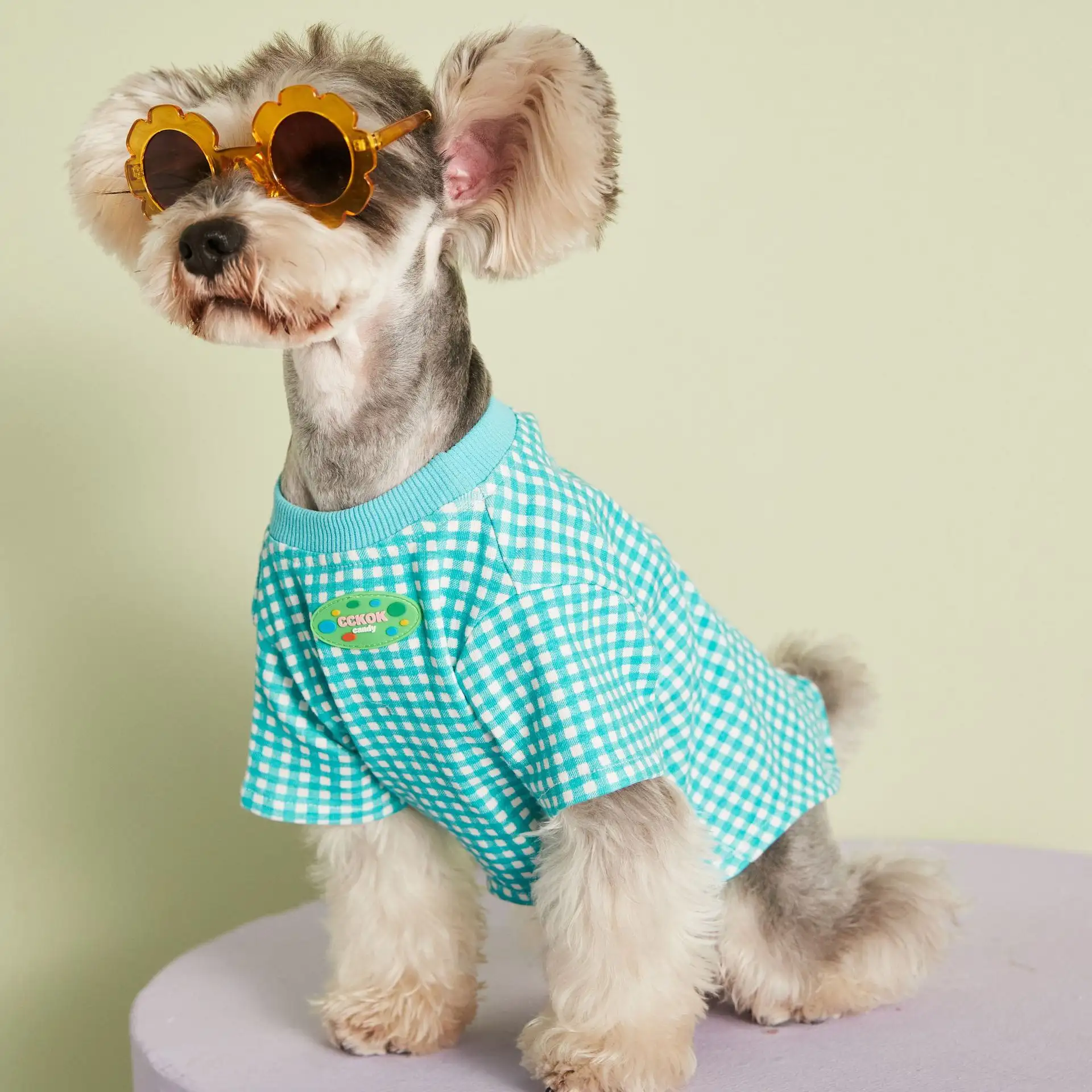 Summer Thin Candy Color Plaid T-Shirt Teddy