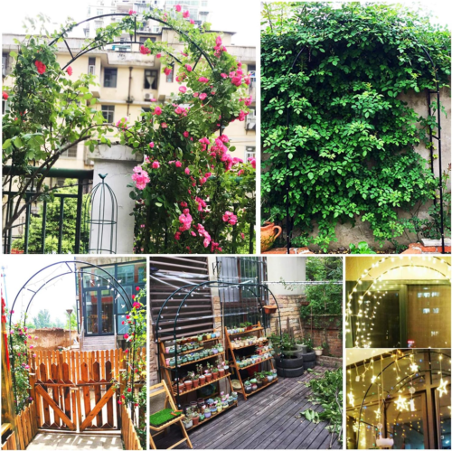 7.9FT Garden Arch Trellis Arched Balloon Climbing Plant Metal Tubular Archway — image 11