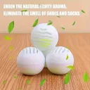24Pcs