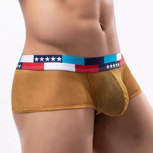 Performance See-through Ultra-fine Mesh Bag Low Waist U Convex Wide-brimmed Boxers