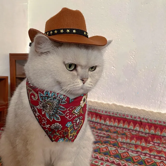 Cat Decorative Hat Pet Headwear Western Star Hat Red Scarf - Shop at LoveMi