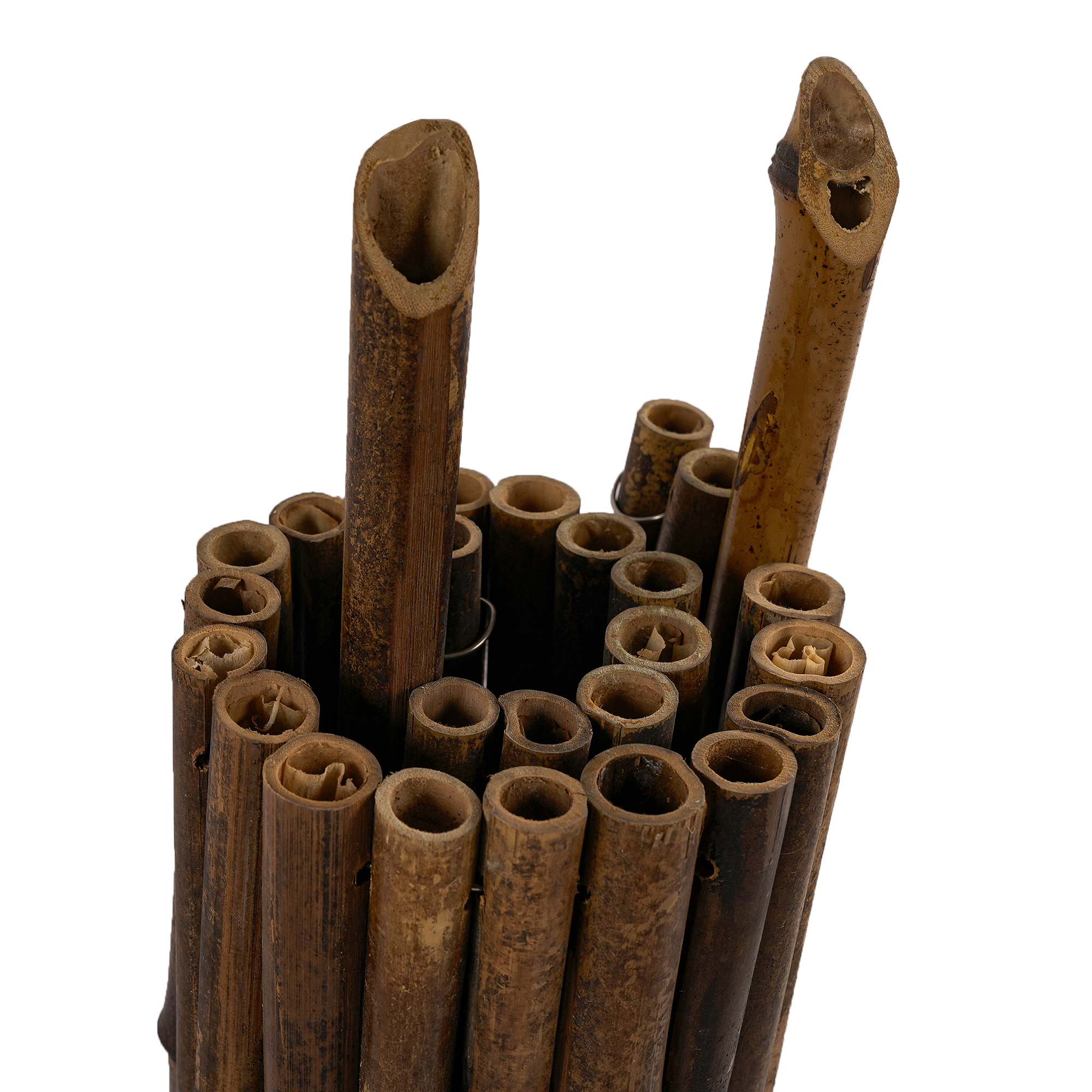 Bamboo Garden Edging Roll, picture 3 of 4