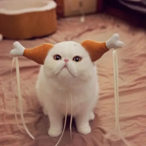 Pet Funny Chicken Leg Concave Shape Cat Dog Headdress