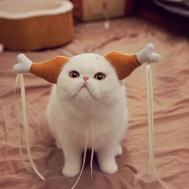Pet Funny Chicken Leg Concave Shape Cat Dog Funny Headdress - Shop at LoveMi