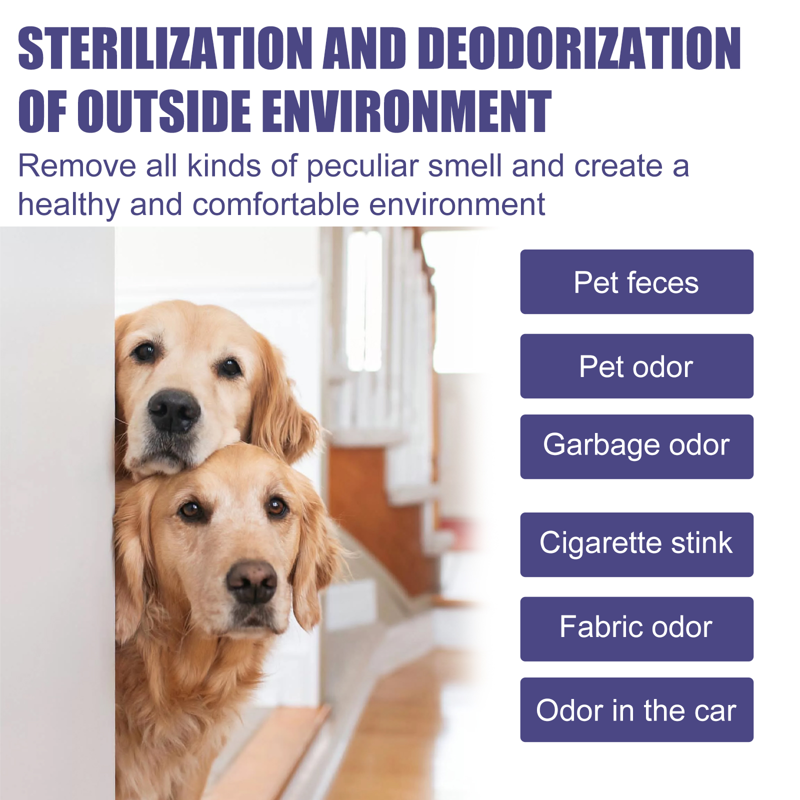 60ml Natural Pet Deodorant Spray With Portulaca & Aloe Extract, Pet Odor Eliminator, Non-Toxic Gentle Formula For Dogs thumbnail 3