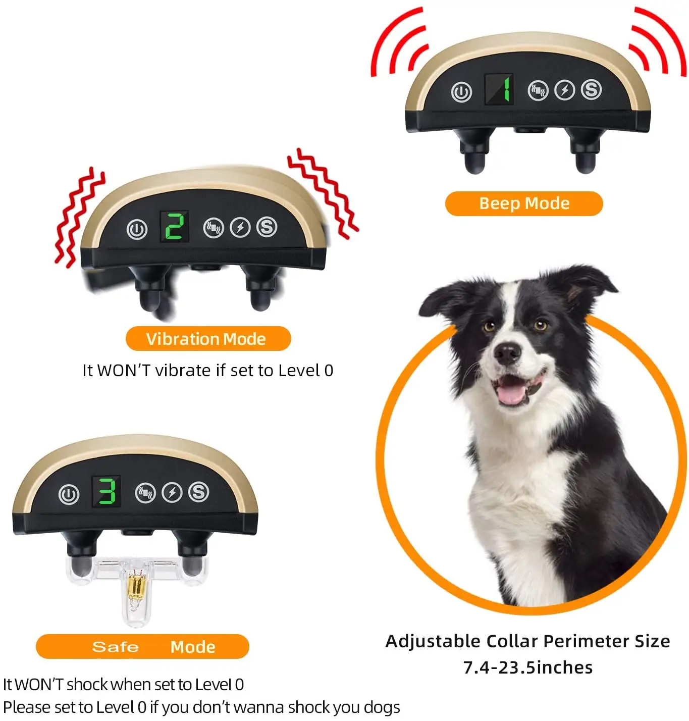 Electronic Dog Training Device