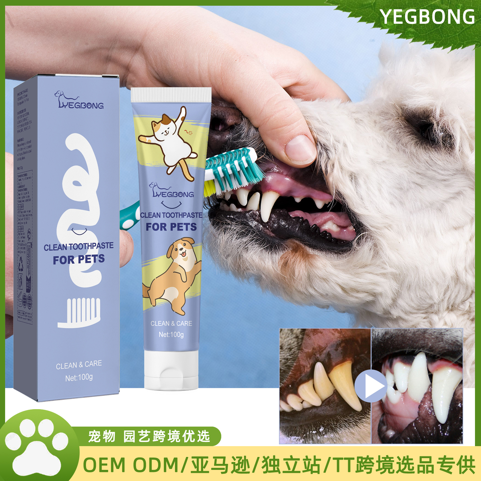 Dentifrice pour chat – hygiène dentaire, tube de 100 ml