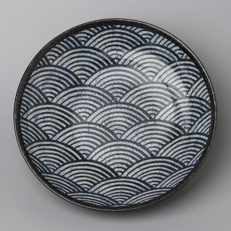 Title 10, Underglaze Ceramic Fried Rice Plate