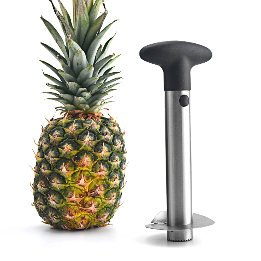 Title 2, Spot Stainless Steel Pineapple Corer Pineapple ...