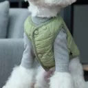Green Vest