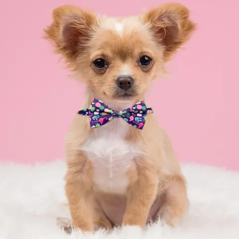 Fruit Pet Small Bow Tie Cactus Dog Cat Decorations