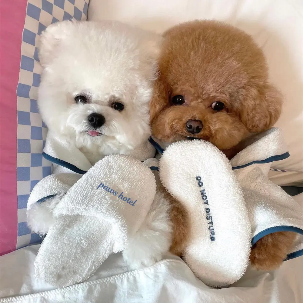 INS Wind Hotel Pet Bathrobe Photo Props Pajamas