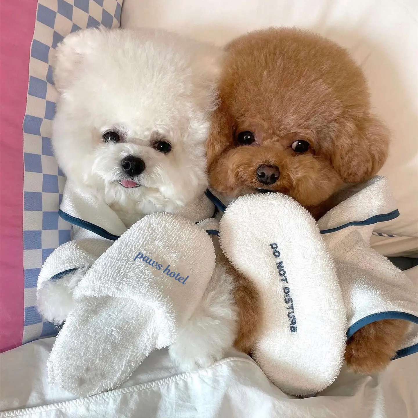 INS Wind Hotel Pet Bathrobe Photo Props
