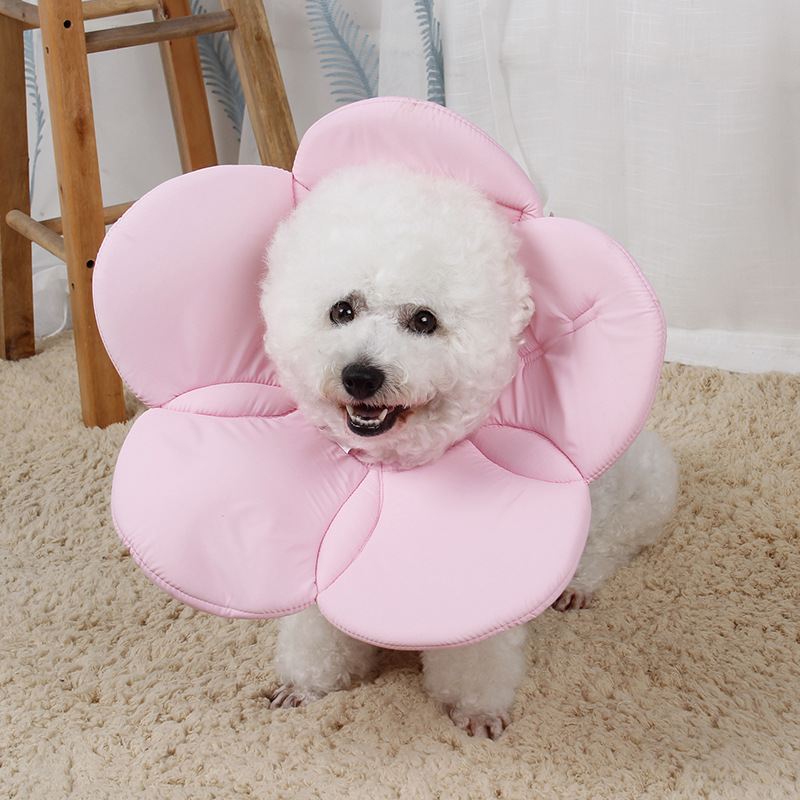 Title 7, Beauty flower anti-scratch pet protective cover...