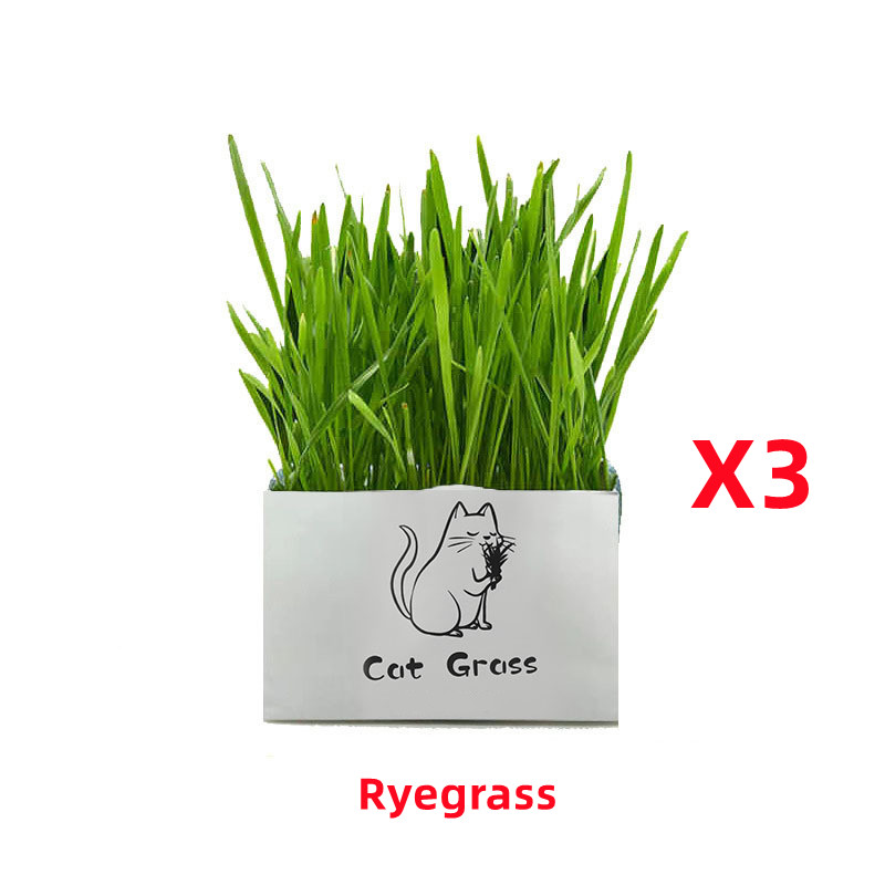 Ryegrass