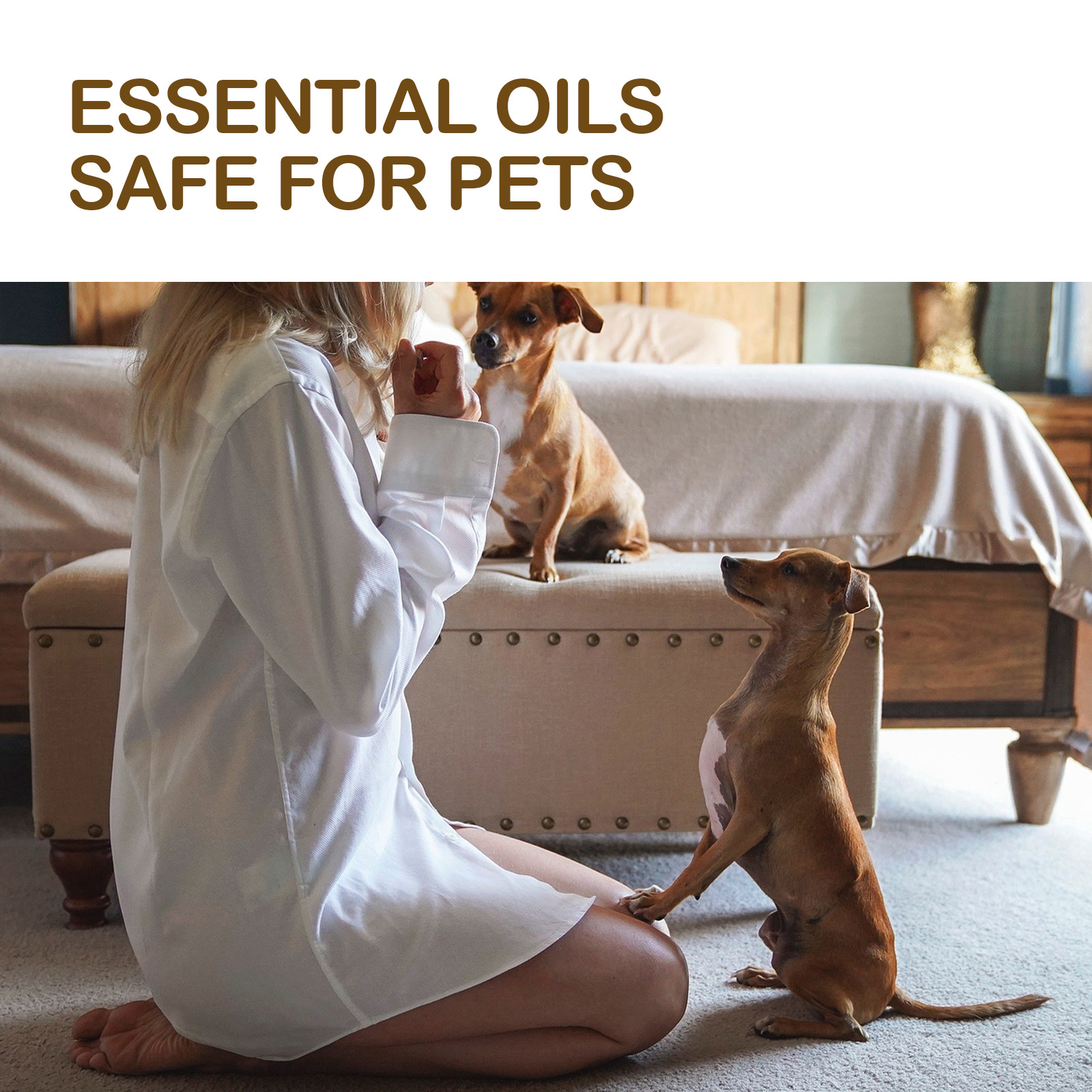 Dog Pet Care Oil With Lemon Balm Oil Fatty Acids, Joint & Muscle Relief Supplement Oil For Canine Mobility Support 4