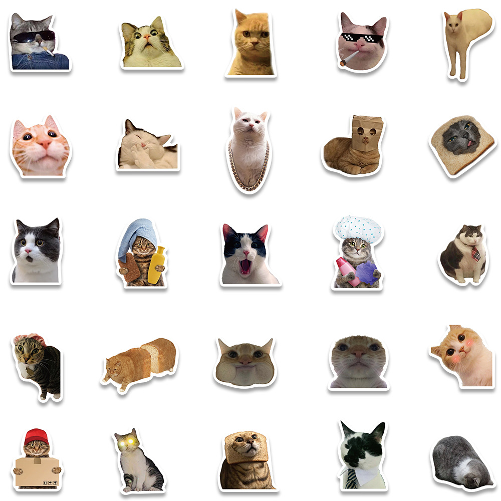 Title 5, Non-repeated Cute Cat Waterproof Stickers