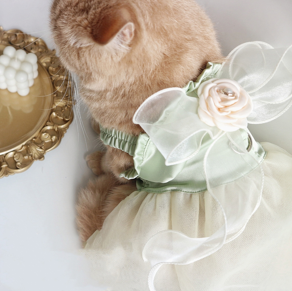 Tow Clothes Dog Cat Go Out Tow Rope Bow