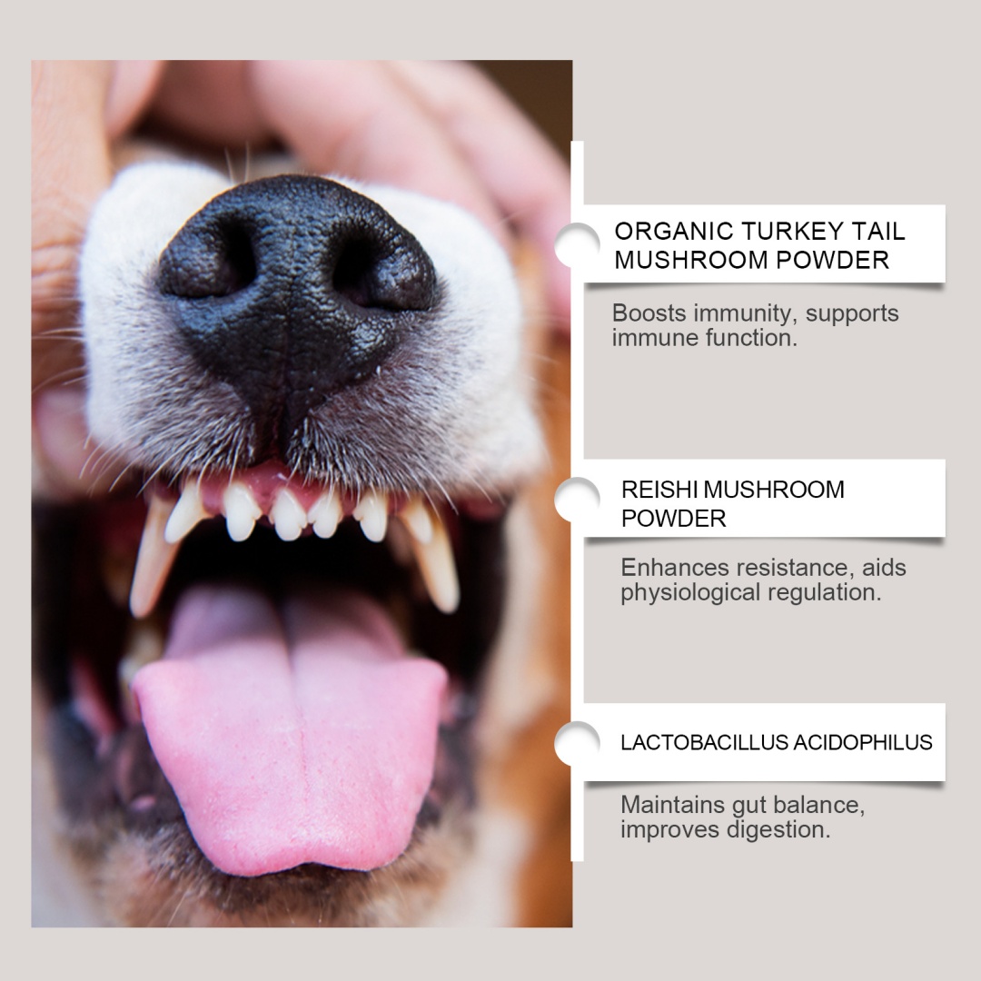 Dog Dental Care Powder Supplement 5