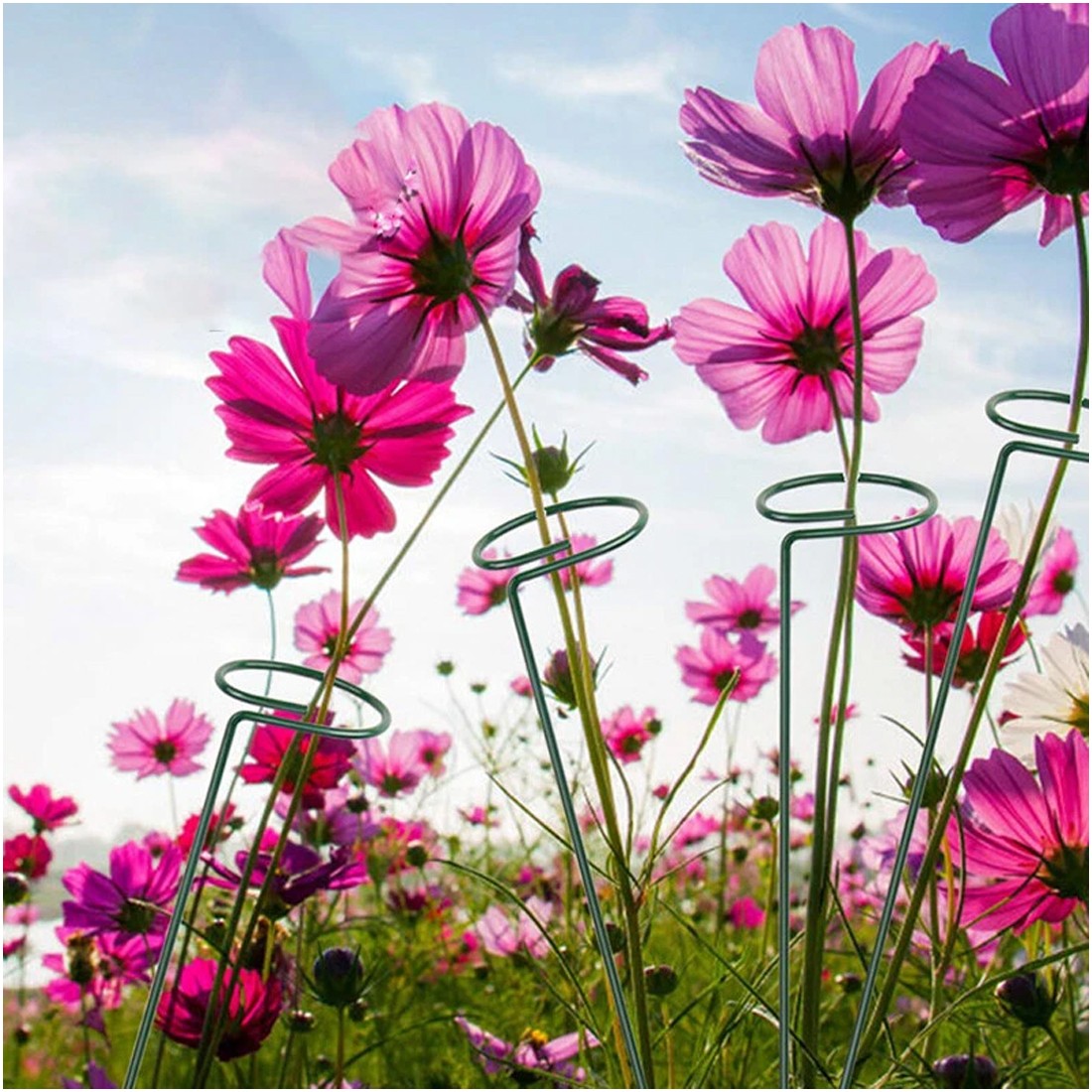20Pcs Metal Plant Bow Stand Stake Strong Round Garden For Flower Support Y UK