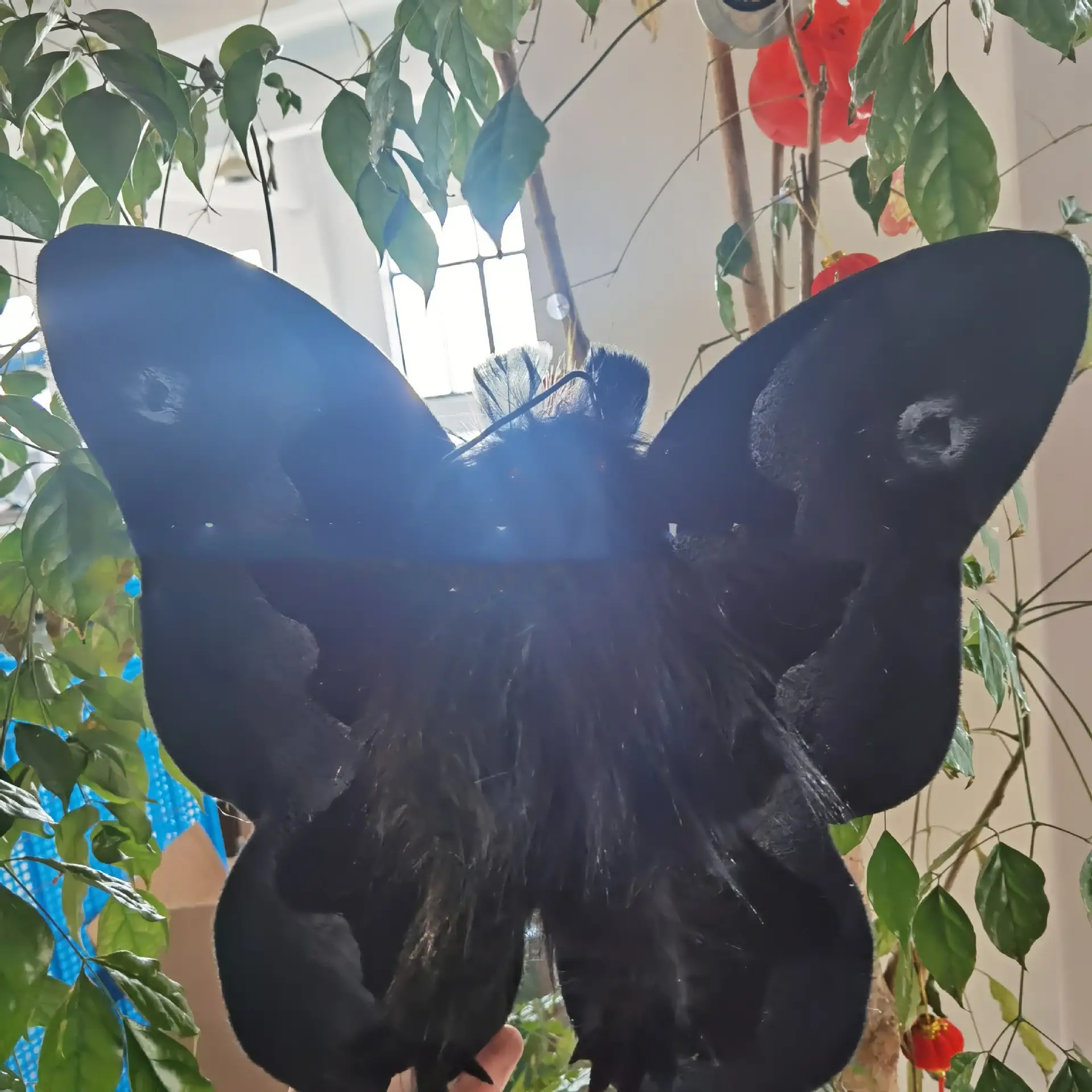 Gothic Moth Plush Doll Europe And America