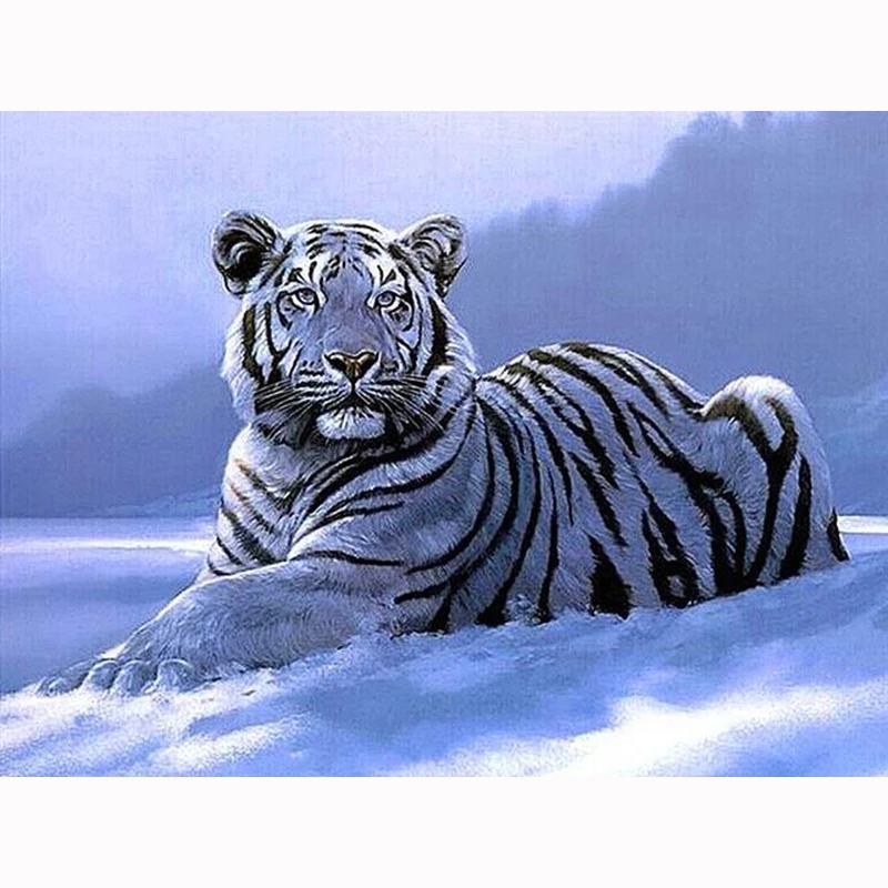 Snow Tiger