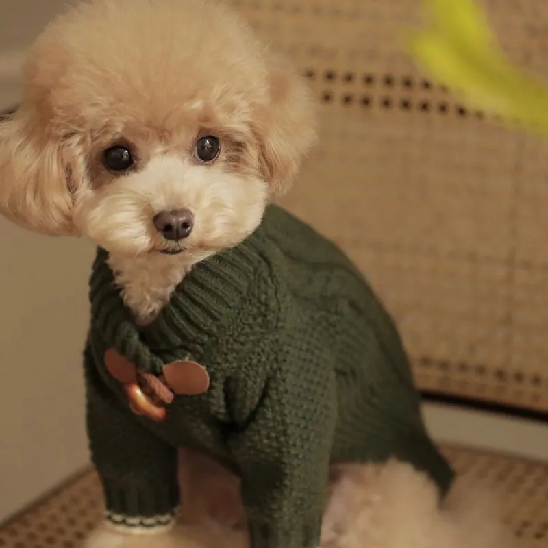 Pet Schnauzer Knitted Sweater Teddy Panda Dog