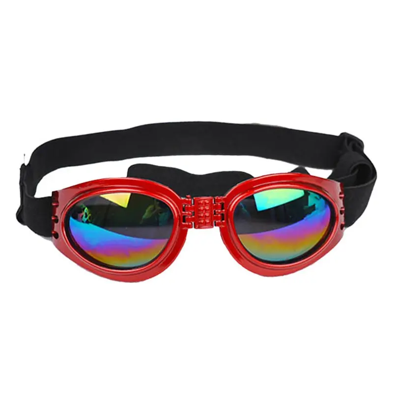 Pet Dog, Cat, Sunglasses, Glasses, Sun Big
